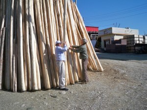 Selecting poles for new Global Relief jungle gym playground in Iraq
