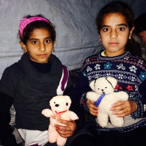 2-met-poppies-photo-2016-12-02-14-18-46